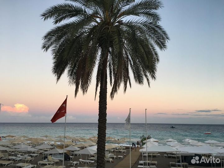 Горящая Турция из Омска