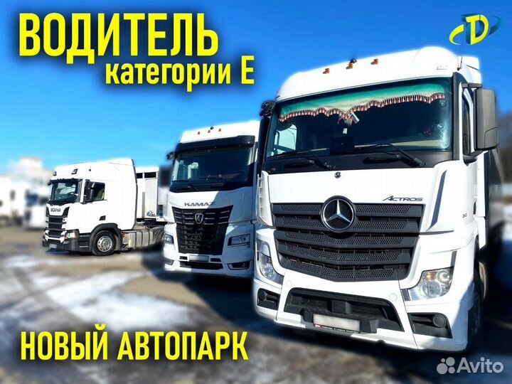 Водитель категории Е / На штору