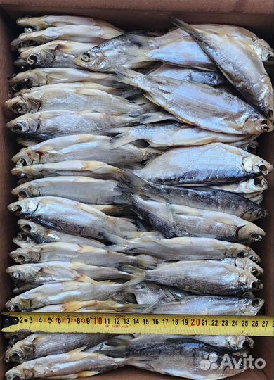 Пелядь вяленая