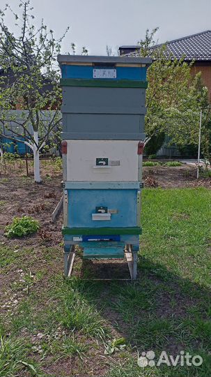 Ульи для пчел