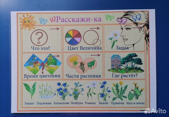 Развитие речи дошкольников. Мнемотаблицы