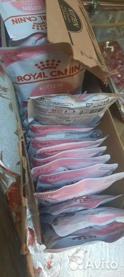 Корм для кошек