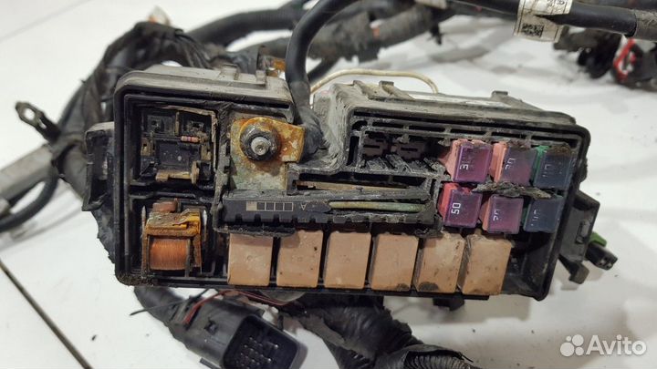 Электропроводка под капот (Kia Mohave)