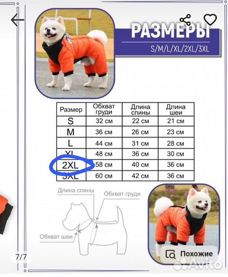 Зимняя куртка для собаки