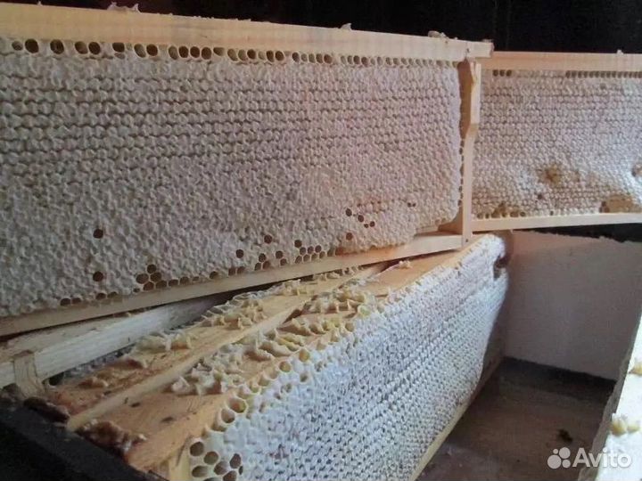 Сотовый мед