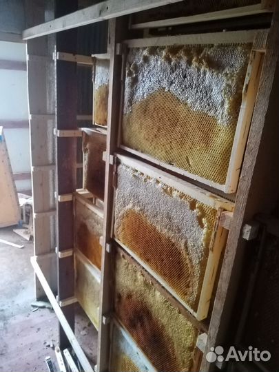 Для хронения Сущи