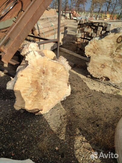 Спилы,слэбы.Каповый тополь. Дуб