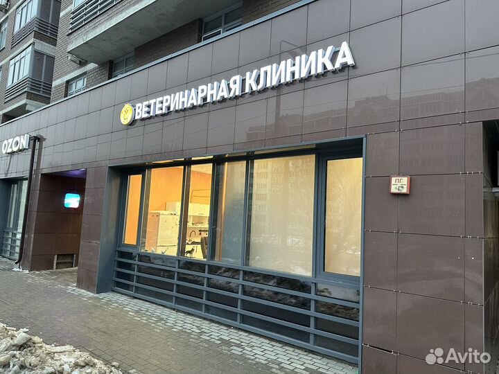 Ассистент ветеринарного врача