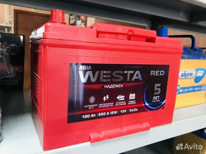 Аккумуляторы 100 Asia Прямой