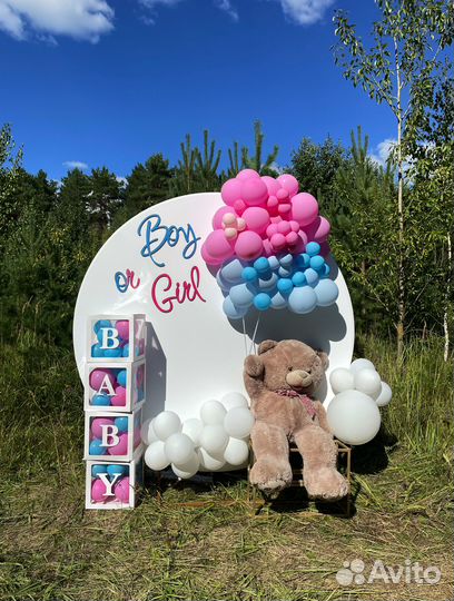 Фотозона на гендер пати, гендерпати