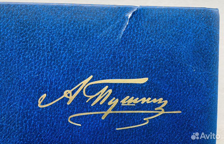 Пушкин 2 тома