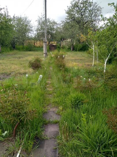 Дача 27 м² на участке 6 сот.