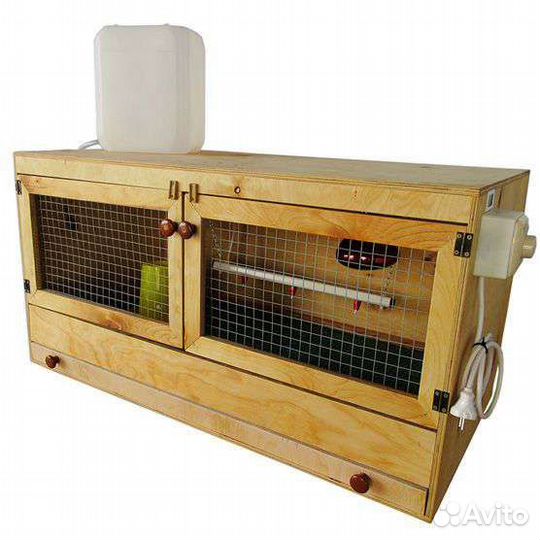 Брудер для цыплят