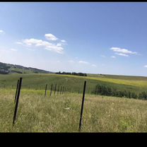 Участок 12 сот. (СНТ, ДНП)