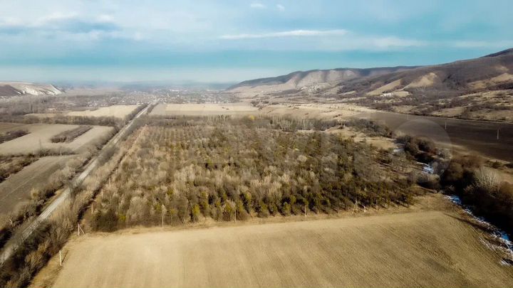 Участок 10 га (СНТ, ДНП)