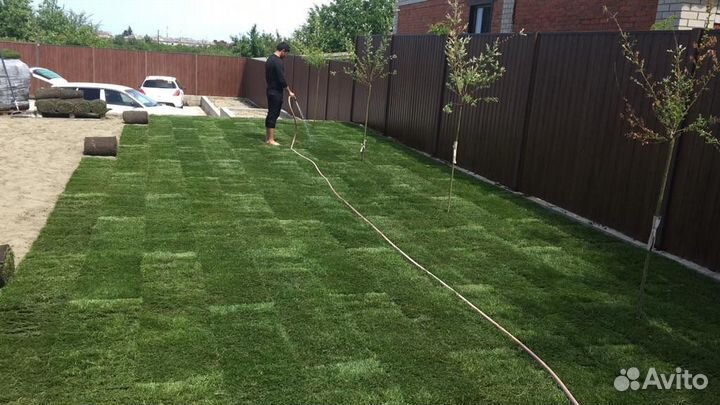 Рулонный газон под ключ с укладкой