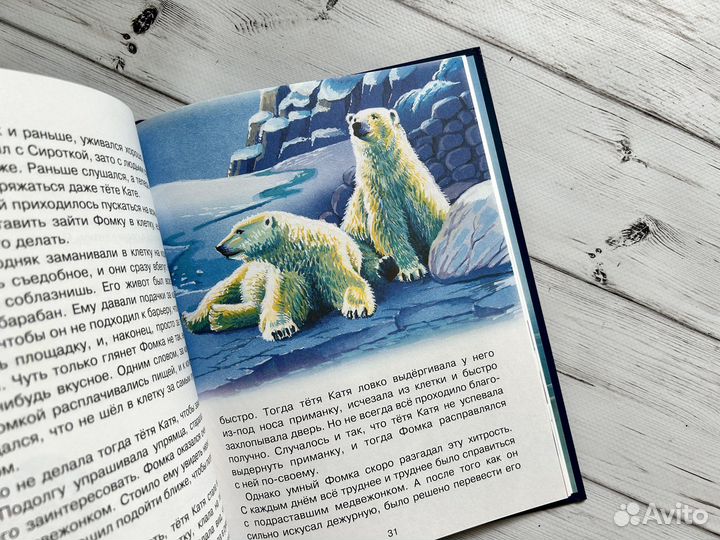 Фомка - белый медвежонок