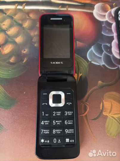 teXet TM-204