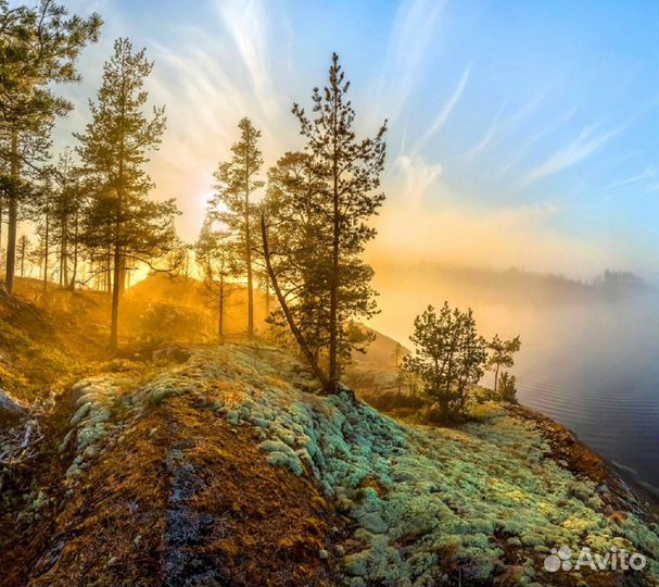 25авг24тур Чудеса Русского Севера рэ3015