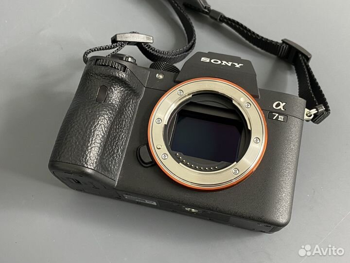 Sony A7 III 4500 кадров