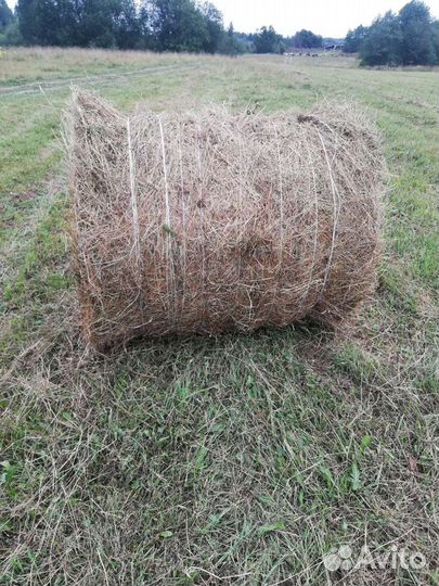 Пресс-подборщик Бежецксельмаш ПРП-1.6, 2000