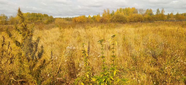 Дом 58,1 м² на участке 30 сот.