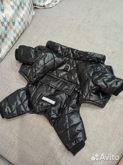 Комбинезон для собаки