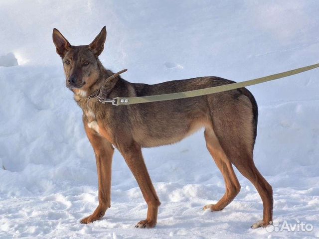 Фарфоровая статуэтка