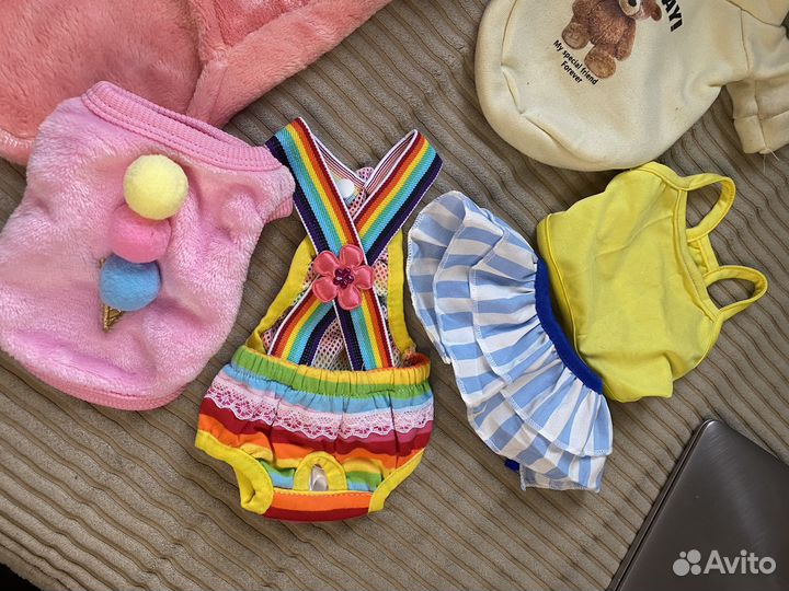 Одежда для собак и щенков