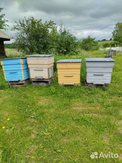 Улей для пчел бу