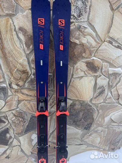 Горные лыжи salomon S/Force Fever +