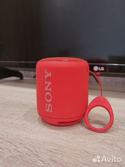 Sony SRS-XB10