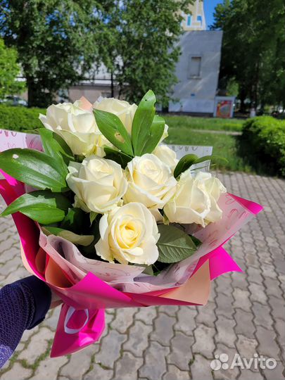 Цветы 51 роза белая