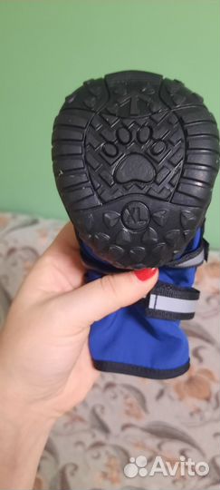 Обувь для собаки