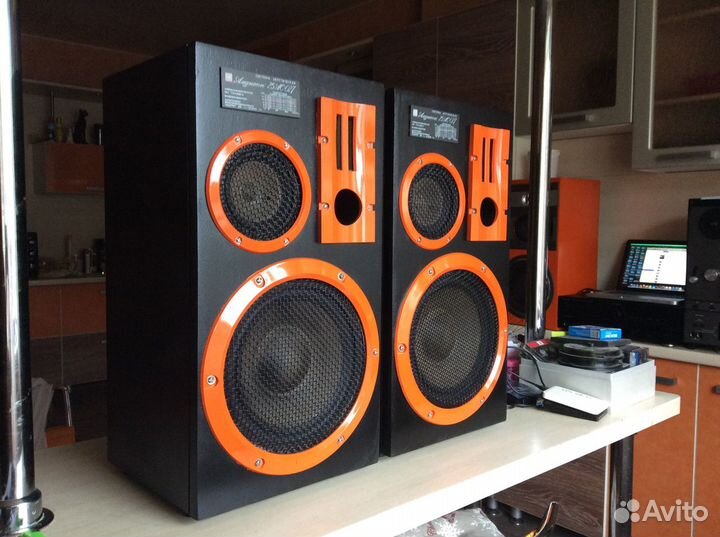 Акустика Амфитон 25ас 017