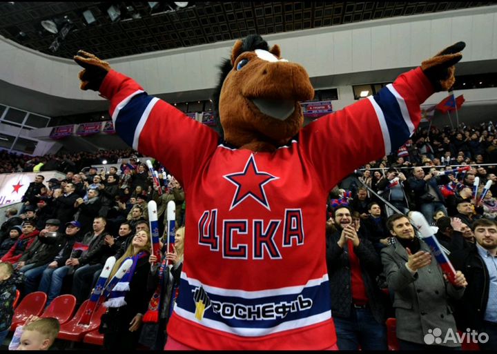 Билеты на хоккей Хк Цска - Локомотив 14.11.2024