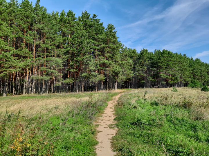 1-к. квартира, 32,9 м², 5/5 эт.