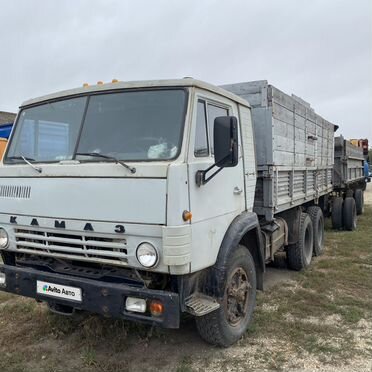 Бортовой грузовик КАМАЗ 5320, 1993