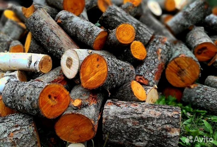 Дрова с Выборга