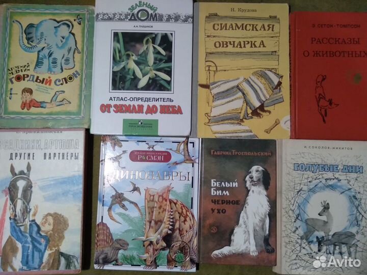 Животный мир.Кошки Собаки.Птицы