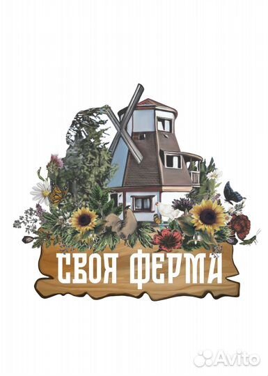 Администратор