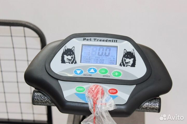 Беговая дорожка для собак