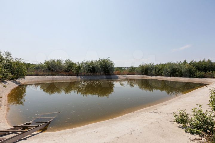 Участок 24 сот. (СНТ, ДНП)