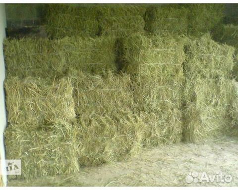 Сенов кипах