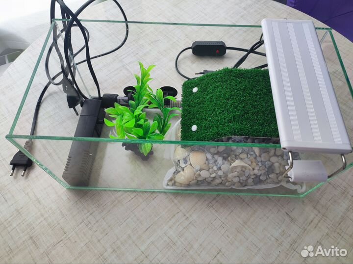 Террариум для красноухой черепахи