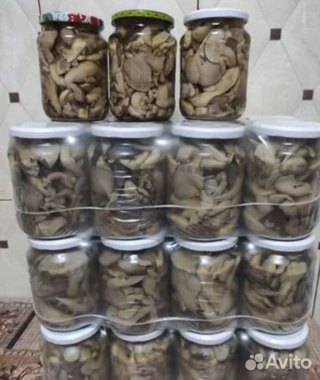 Грибы маринованные вешенки1