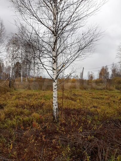 Участок 9 сот. (СНТ, ДНП)