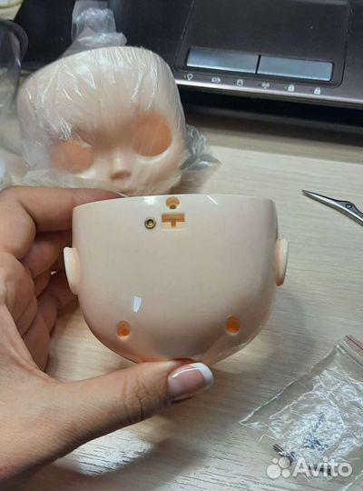 Лицевая и задняя панель блайз Blyth