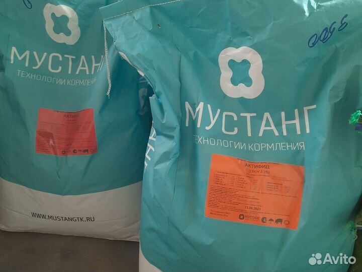 Бмвк И премиксы мустанг