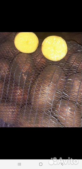 Картофель и всё овощи